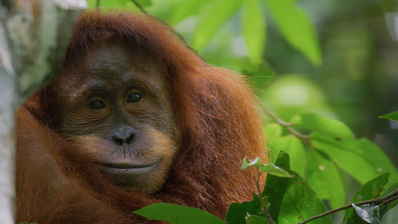 泰格雷六连,败应对策略,及专家推荐,北京PK10赛车网,中国北京PK10赛车网官方,北京PK10赛车网官网,北京PK10赛车网首页