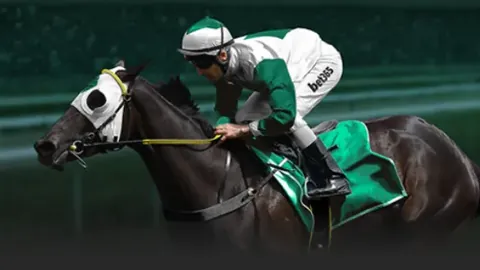 埃弗斯堡主场对决马格德堡，德乙专家质合分析推荐